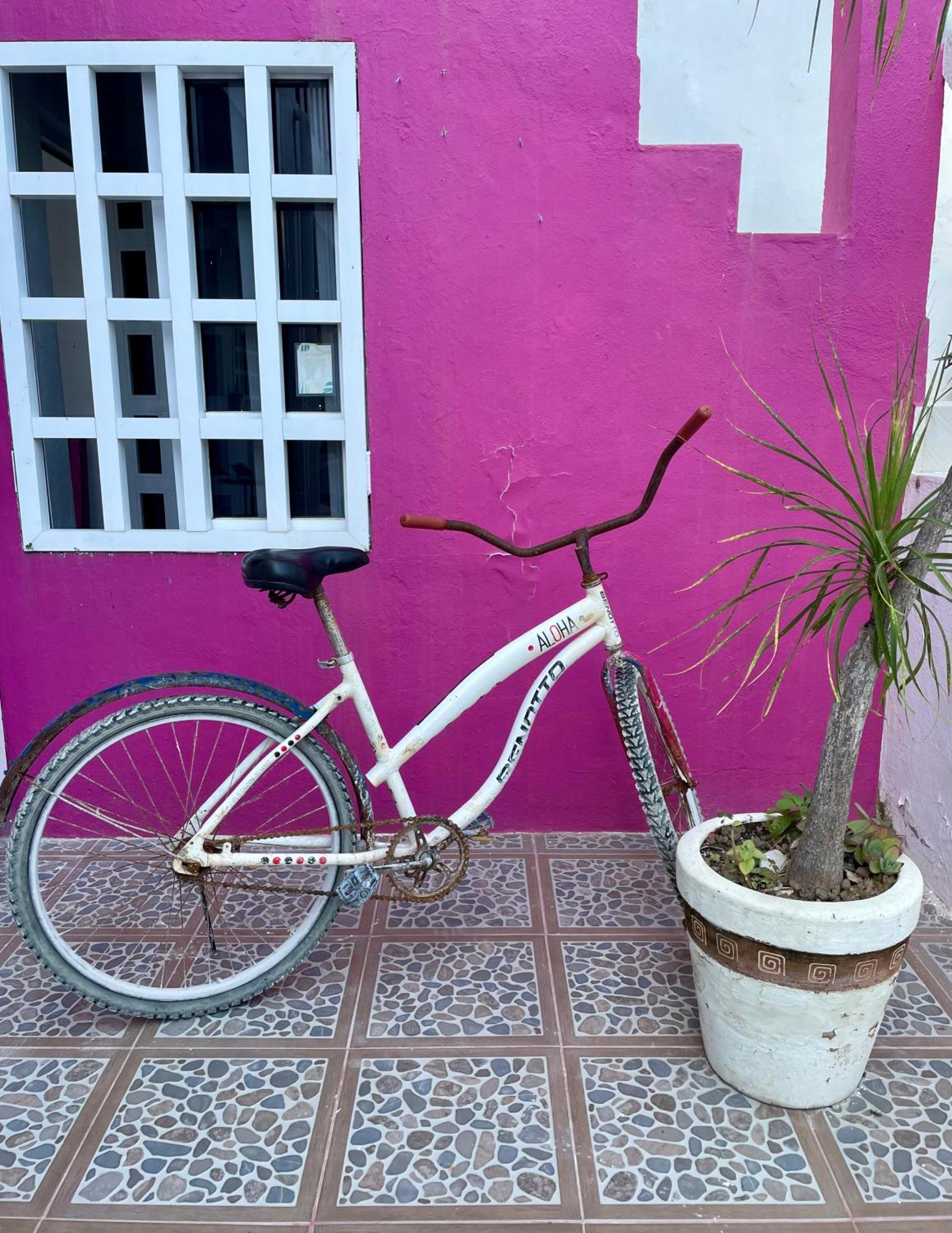 Pachamama Holbox - Hostel & Private Apartments Zewnętrze zdjęcie